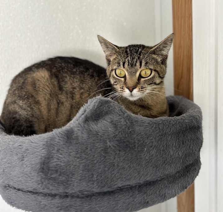 Photo of Selene