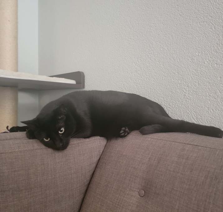 Photo of Kylo