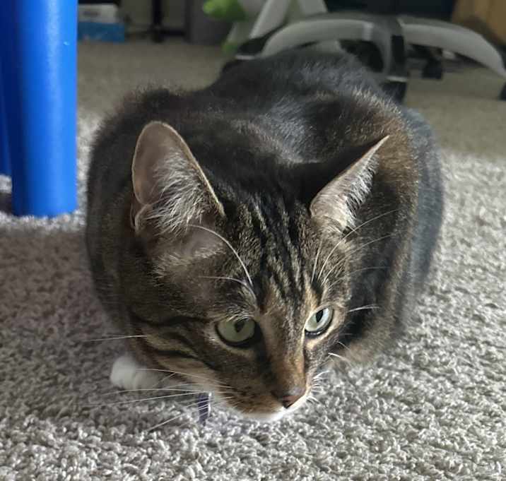 Photo of Lucy