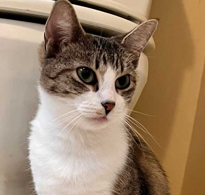 Photo of Tiny