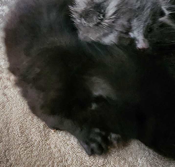 Photo of Bishop Baby #5