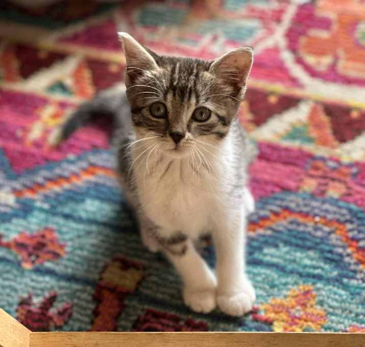 Photo of Sally 25-05-007