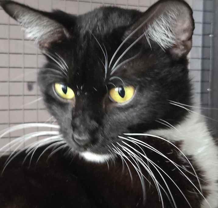 Photo of Miss Curly