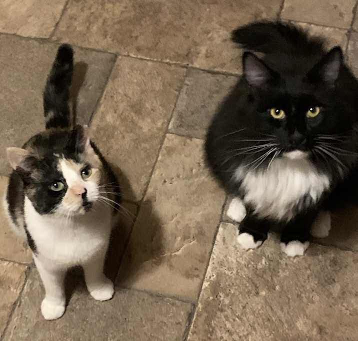 Photo of Peaches and Hendrick