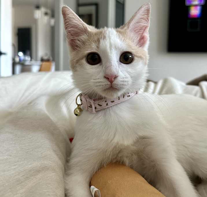 Photo of Mia