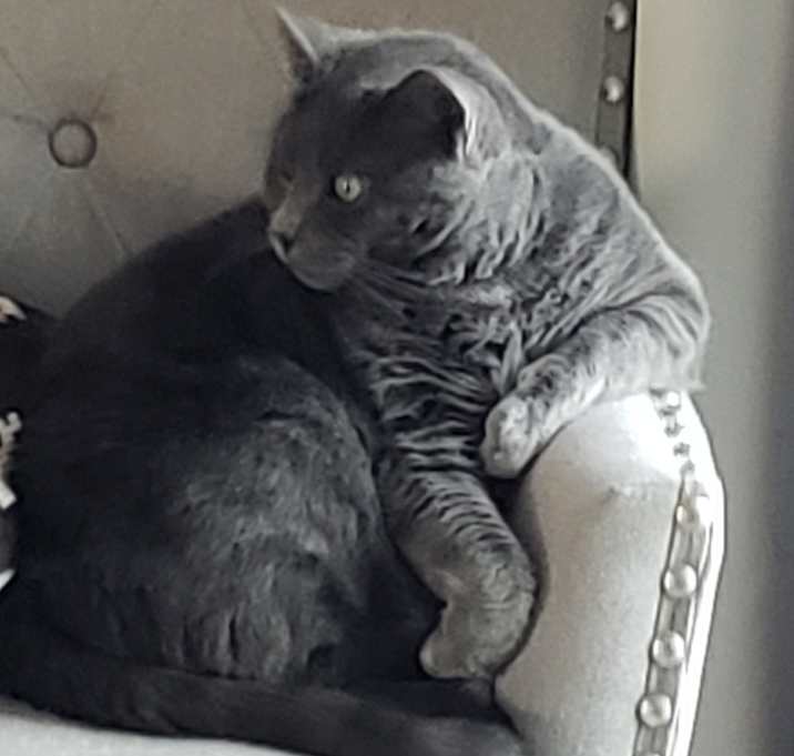 Photo of Sadie