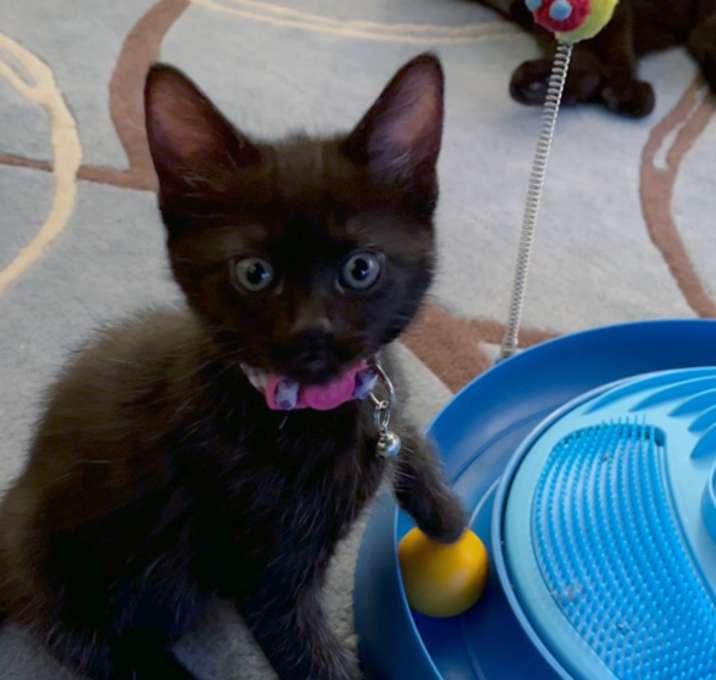 Photo of PAPRIKA