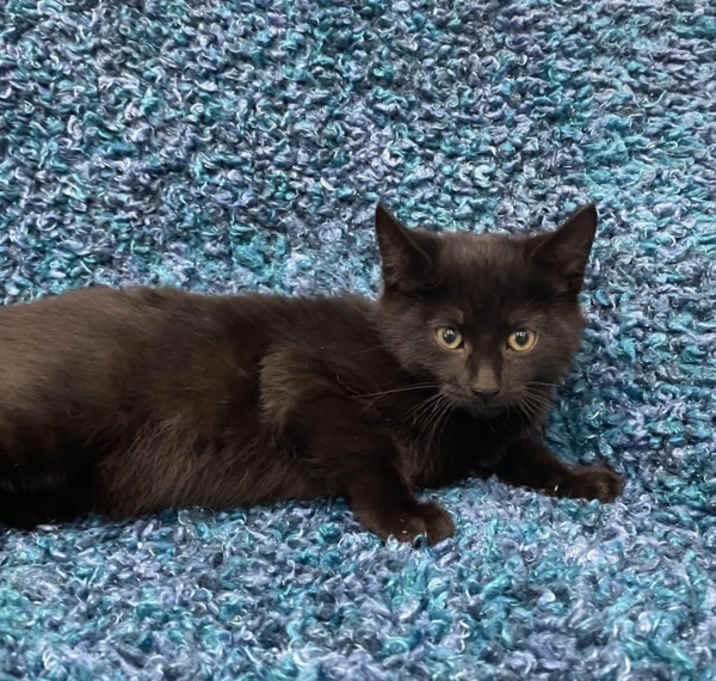 Photo of Evangeline