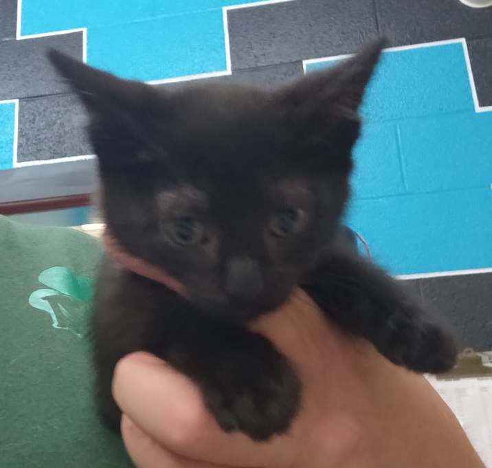 Photo of Olivia