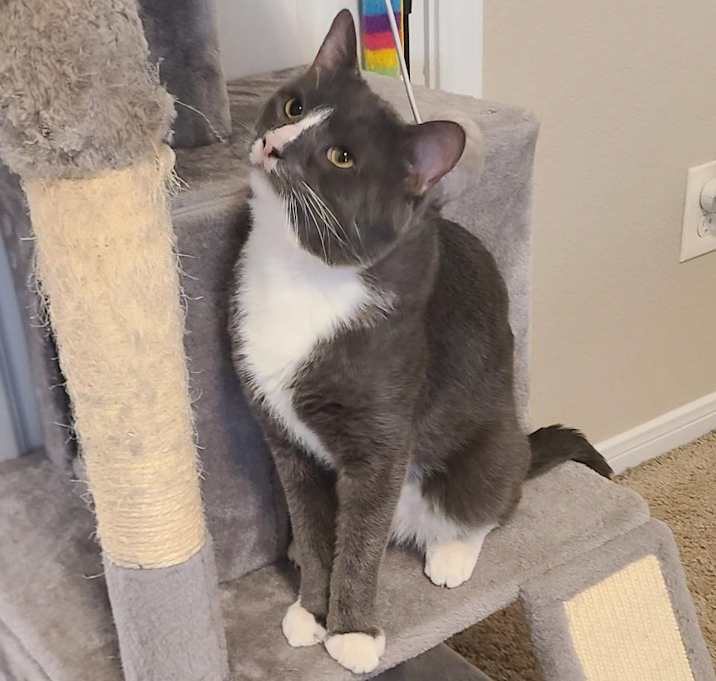 Photo of Max