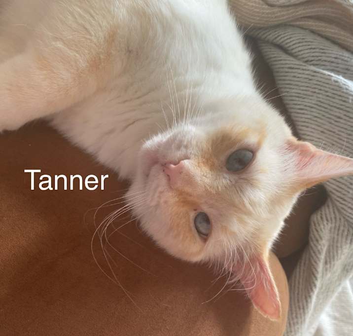 Photo of Tanner