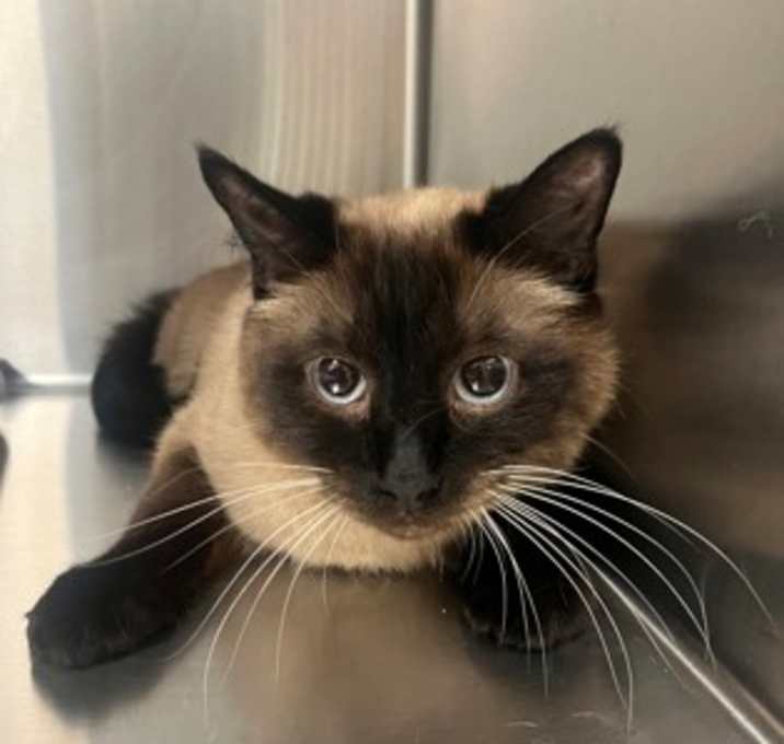 Photo of Spirit