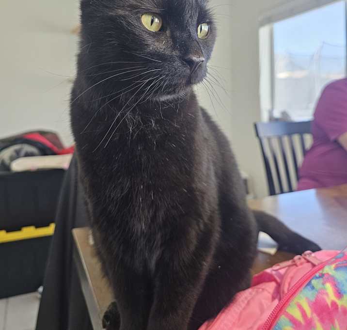 Photo of Paco