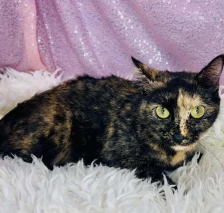 Photo of Hera