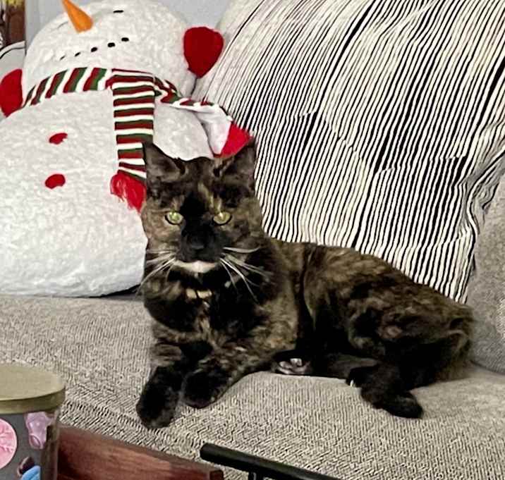 Photo of Gabby