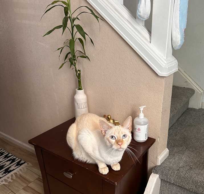 Photo of Sam