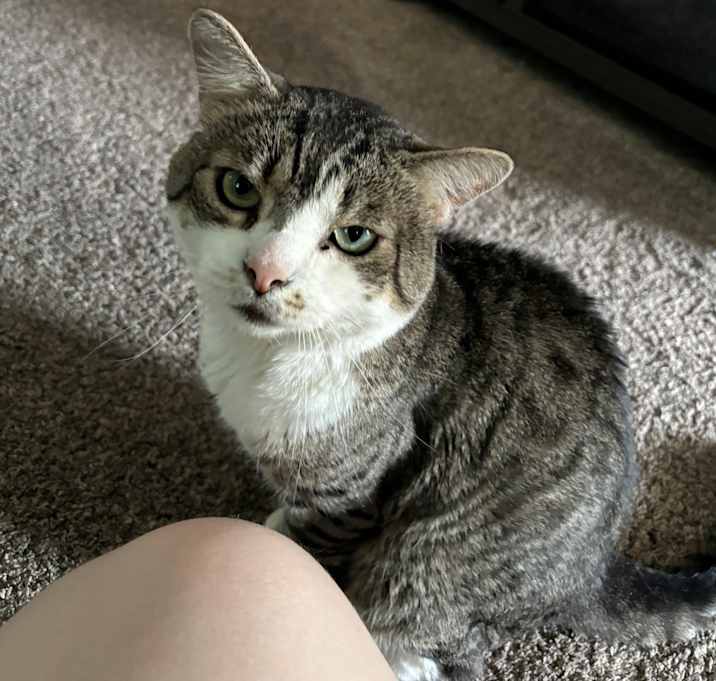 Photo of Cane