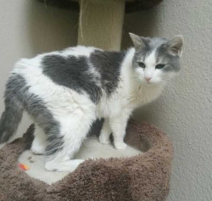 Photo of Ethel