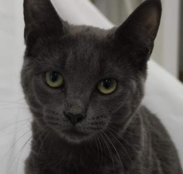 Photo of Gia