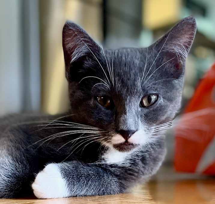 Photo of Doc