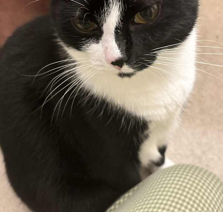 Photo of Zoe