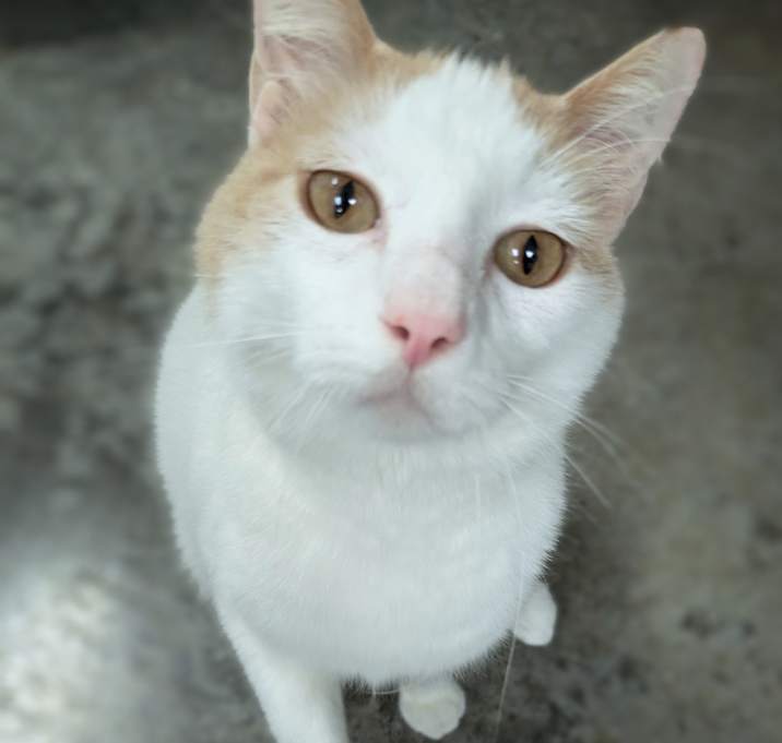 Photo of Buster