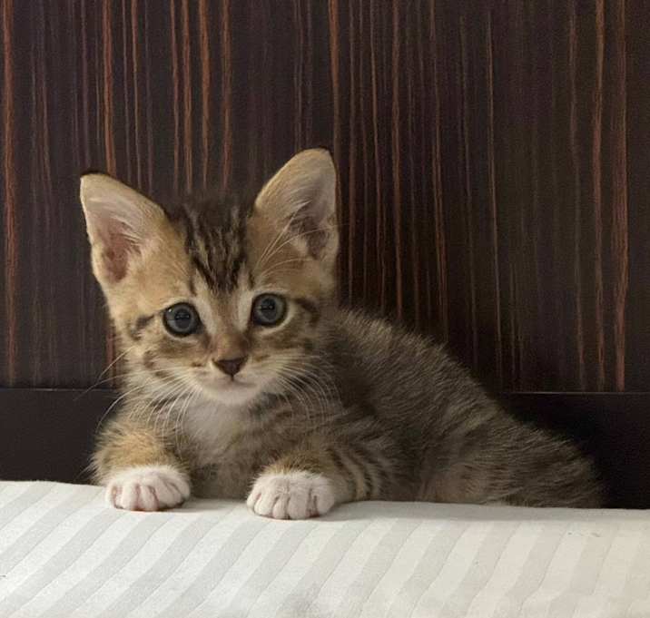 Photo of Keanu