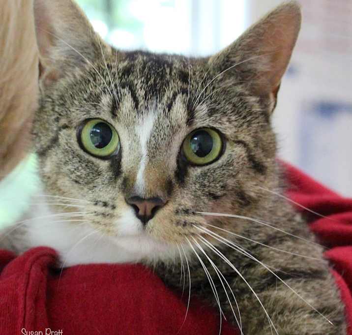 Photo of Tabitha
