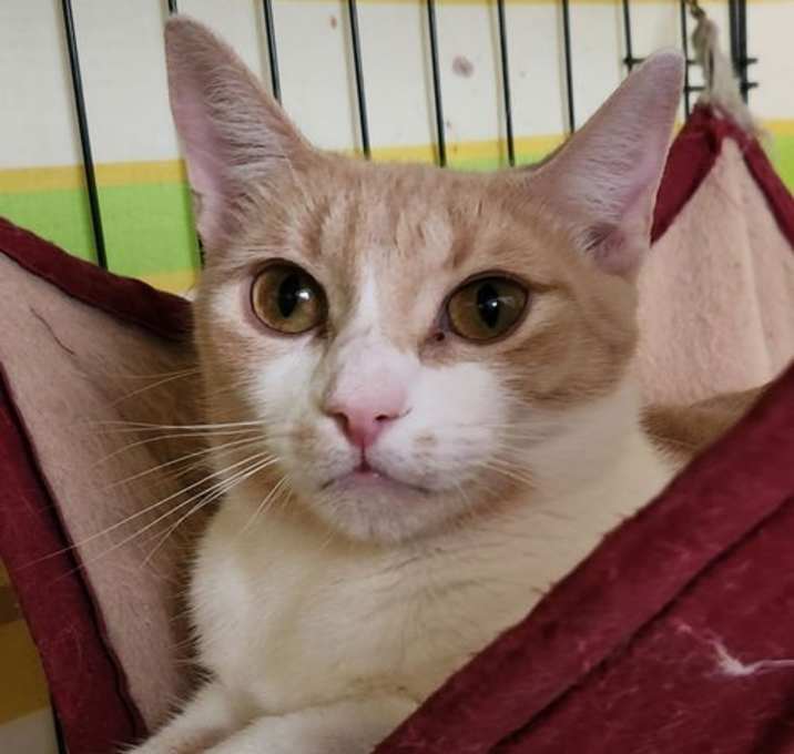 Photo of Mama