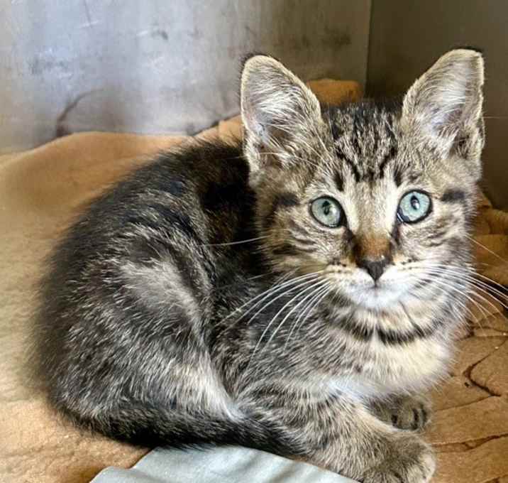 Photo of Java