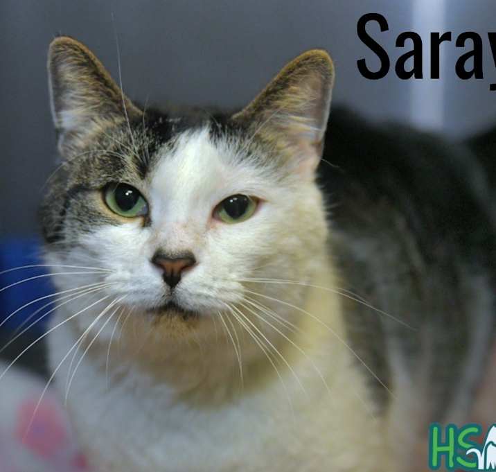 Photo of Saraya
