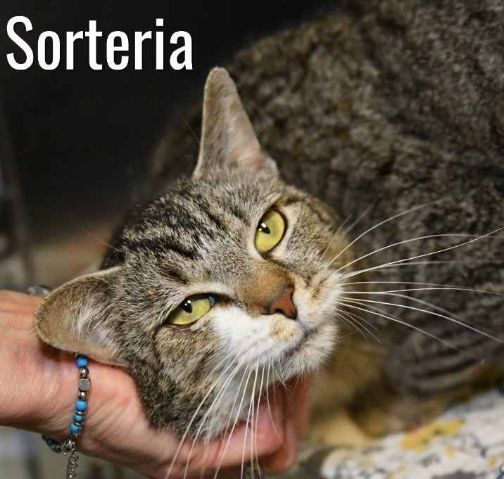 Photo of Soteria