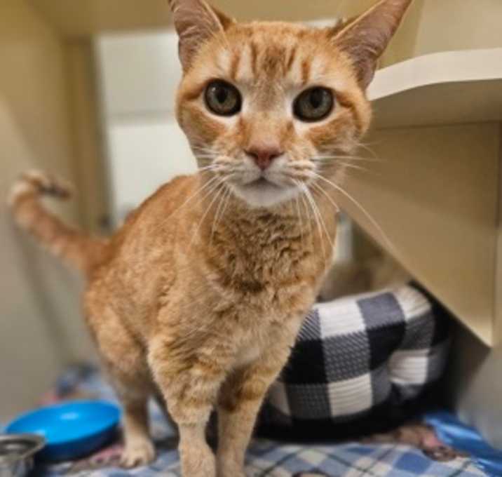 Photo of Mango~24/25-0326