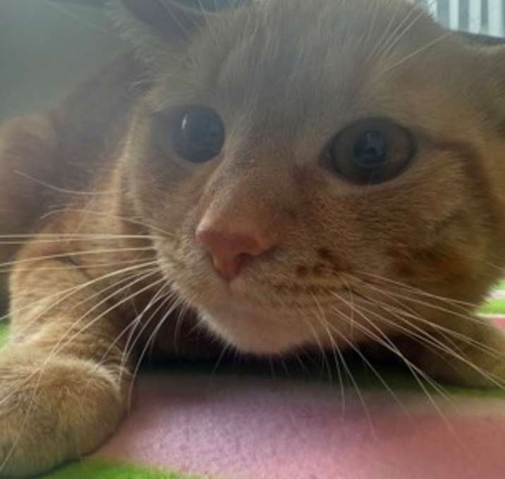 Photo of Bubby