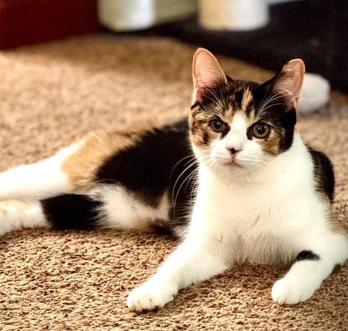 Photo of Stacy
