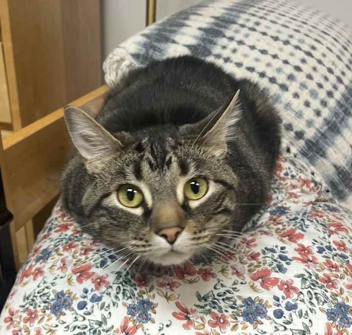 Photo of Skittles