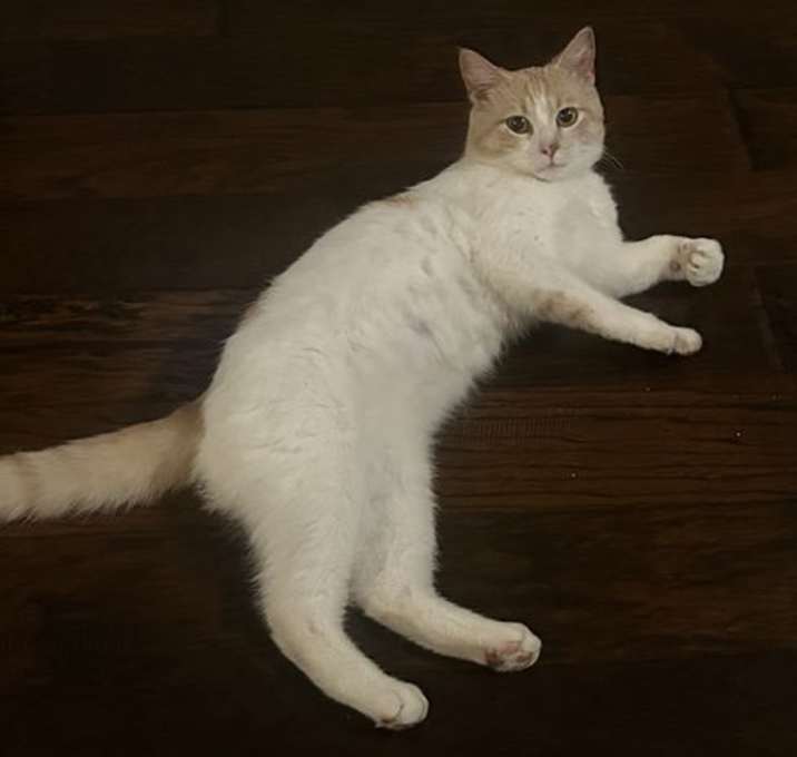 Photo of Alexander