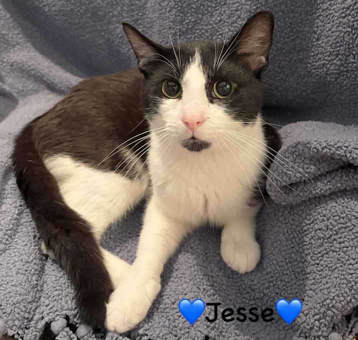 Photo of Jesse