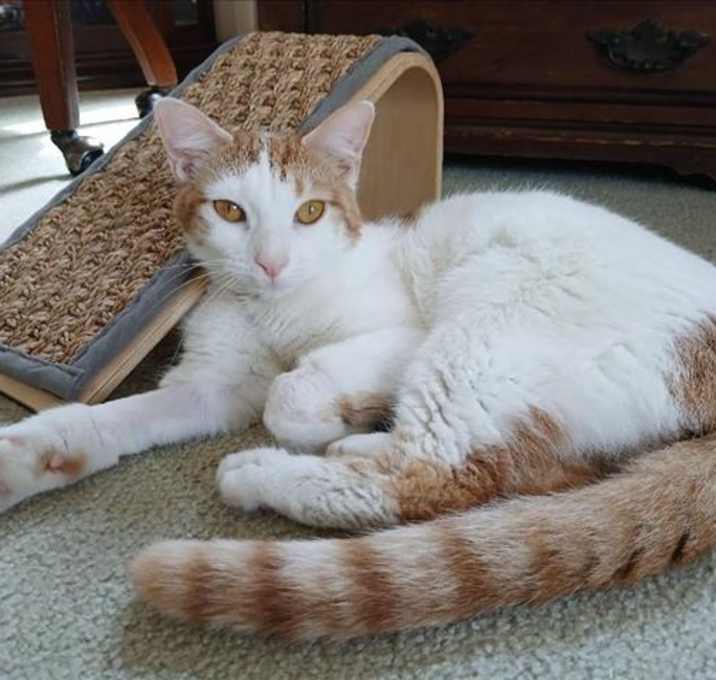 Photo of SANDY