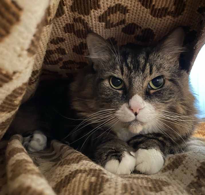 Photo of Hershey