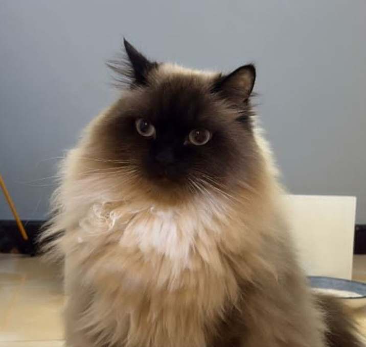 Photo of Jerry #2