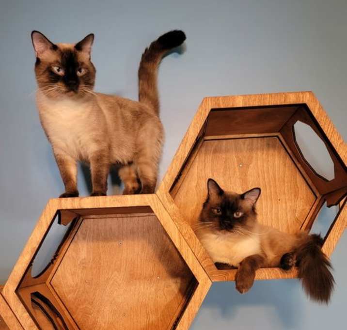 Photo of Ghost & Bear