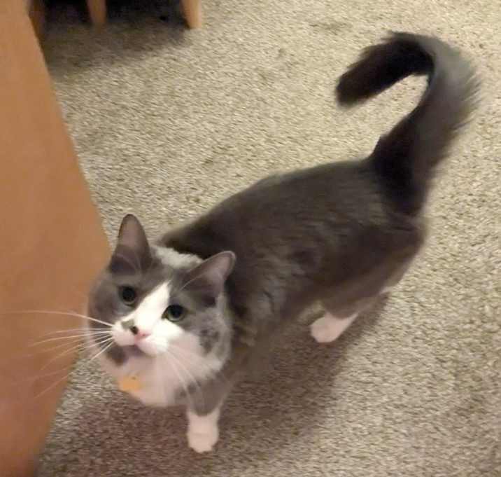 Photo of Olive