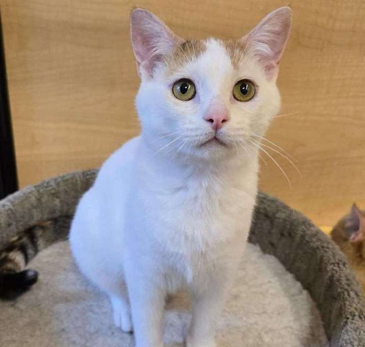 Photo of Poptart