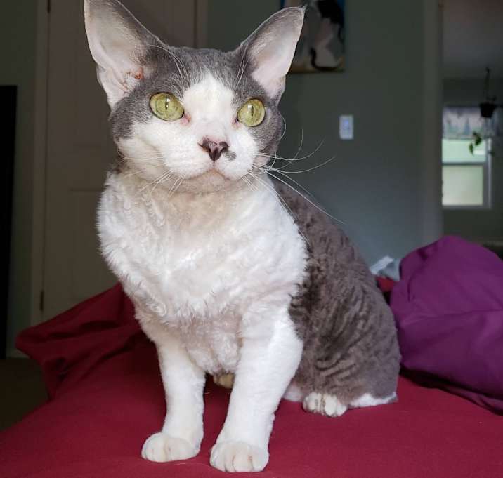 Photo of Thing