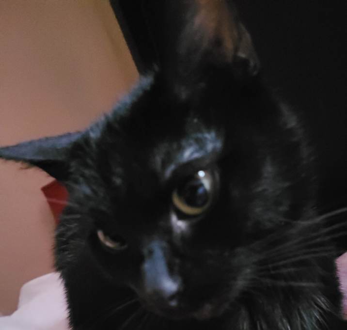 Photo of Sapphire