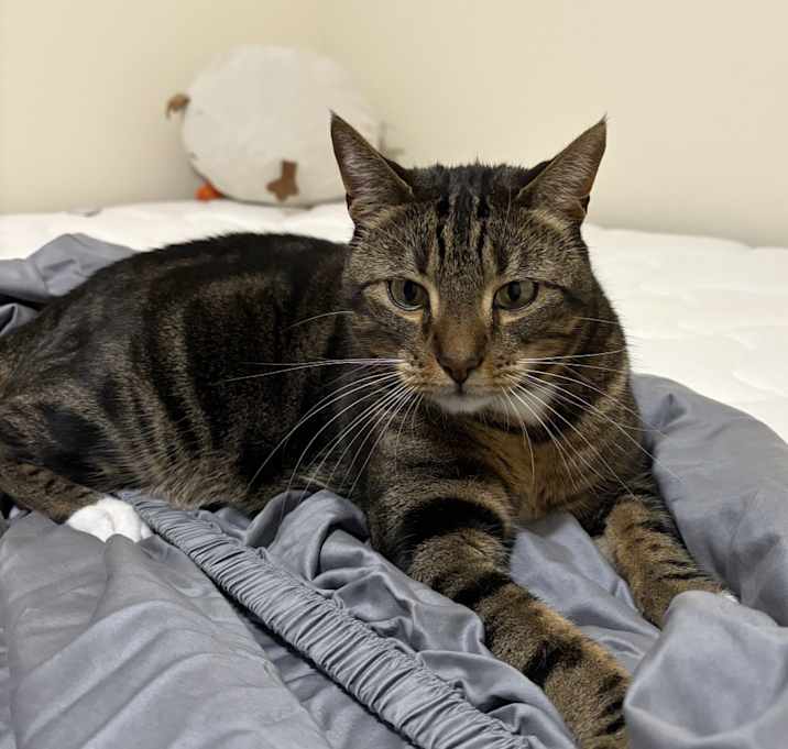 Photo of BoBo