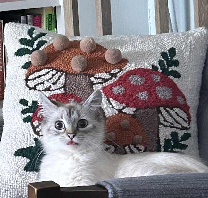 Photo of Pearl