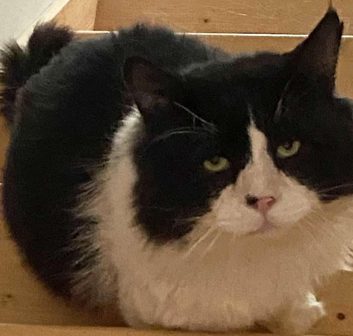 Photo of Tank