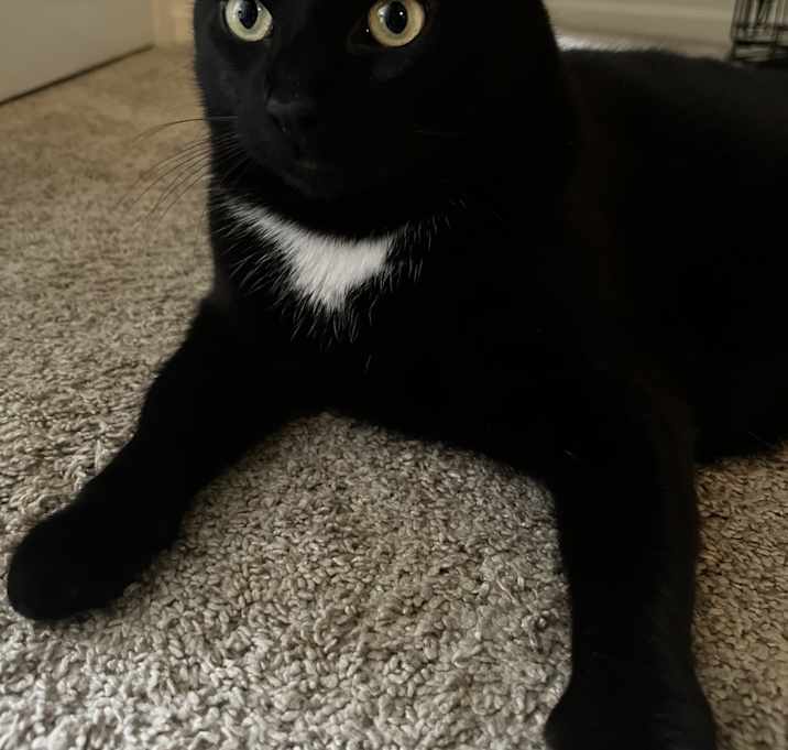 Photo of Ralph